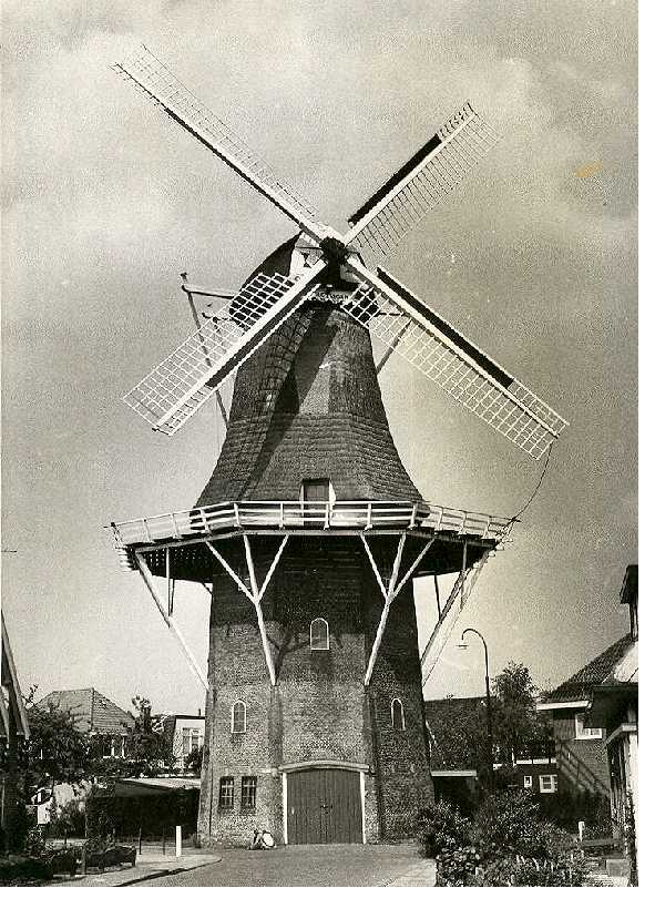 Tjepkema's molen 1950